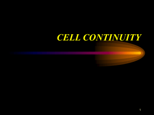 08.1 Cell Continuity