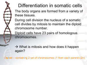 L6 HH Meiosis - WordPress.com