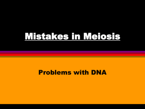 mistakes in meiosis 2013