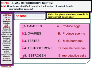 Male and Female Reproductive System