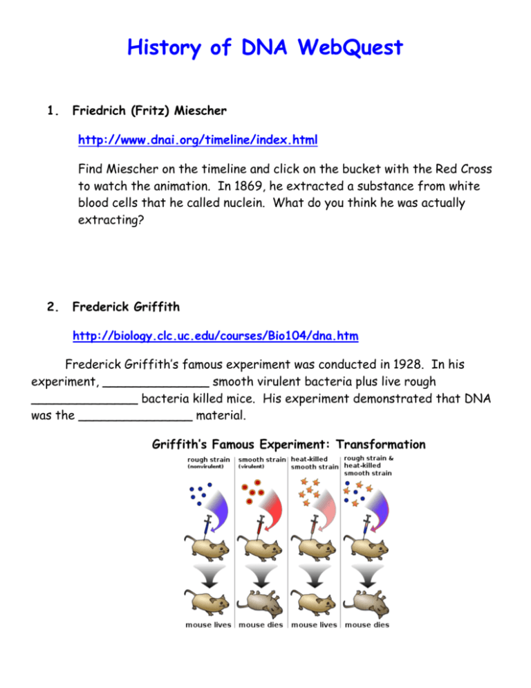 History Of DNA WebQuest