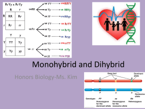 Monohybrid and Dihybrid - Ms Kim's Biology Class