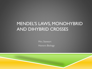 Mendel's laws, monohybrid & dihybrid crosses