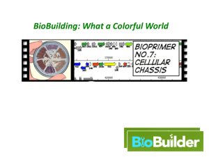 BioBuilding: What a Colorful World