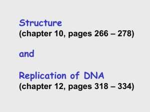 032910_DNA structure