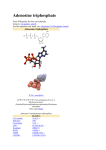 ATP production during photosynthesis