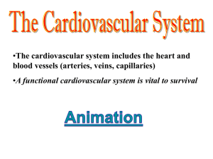 Kathy Ray Cardiovascular System PP