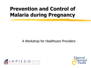 Malaria in Pregnancy