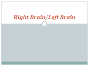Right Brain/Left Brain