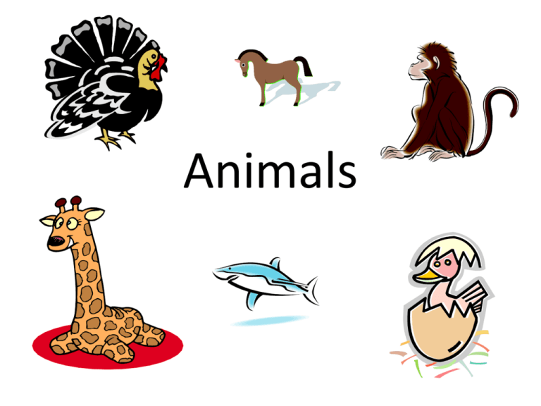 animals