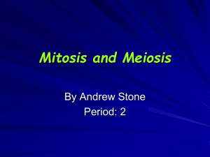 Mitosis and Meiosis