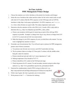 In Class Activity PIPE Mutagenesis Primer Design