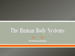 The Human Body Systems