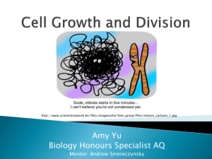 Cell Growth and Division - HSBIOLOGY-PHYSICS-2010