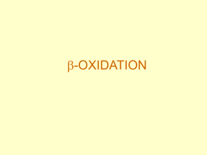 Fatty acid oxidation