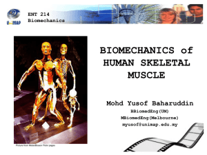 Week 5 - Biomechanics of Human Skeletal Muscle