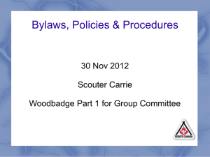Bylaws, Policies and Procedures