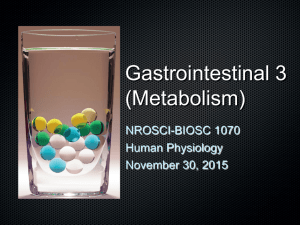 PowerPoint - Honors Human Physiology