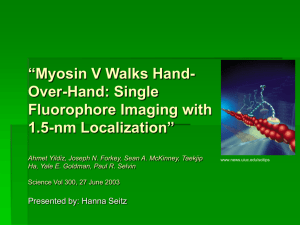 Myosin V Walks Hand-Over-Hand: Single Fluorophore
