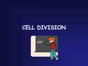 MITOSIS: CELL DIVISION