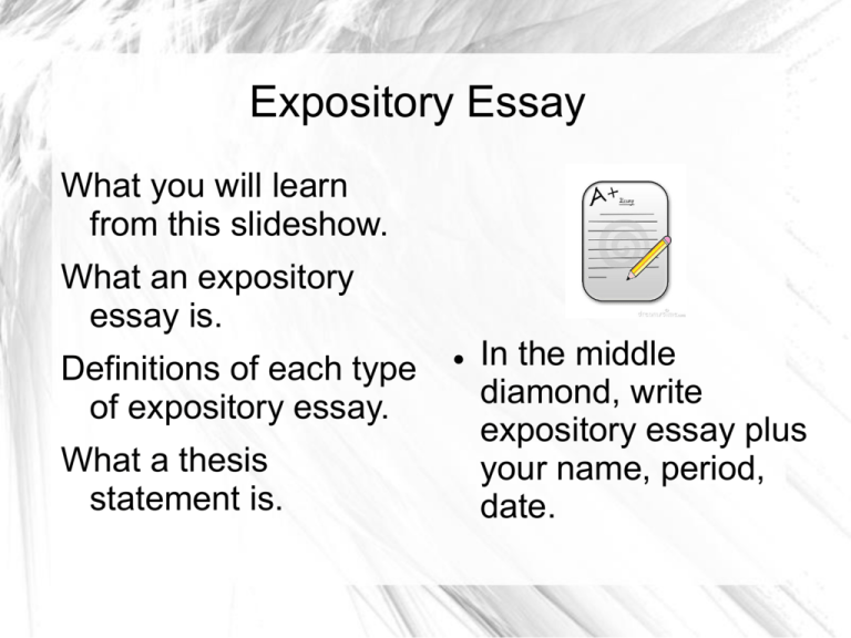 essay expository means