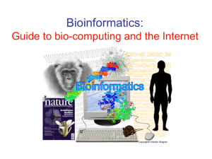 Faik Bioinformatics PowerPoint 1-2006