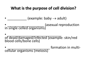 What is the purpose of cell division?