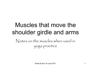 Muscles shoulder and arm Presentation-rosie
