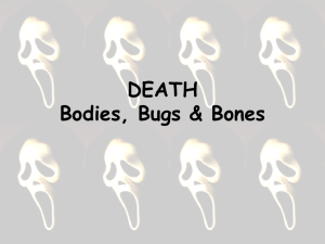 Bodies, Bones & Bugs