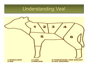 Veal - What the World Eats