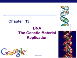 Ch13 DNA (Week 9)