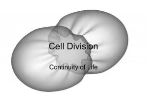 Cell Division (Ch 15)