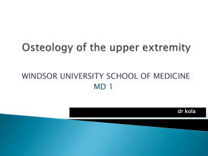Osteology of the upper extremity