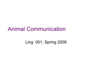 Linguistics 001, Fall 2004