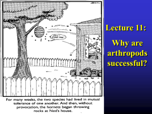 Arthropod Lecture