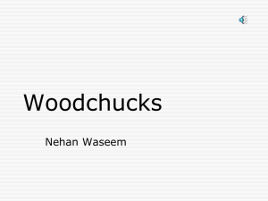 Woodchucks By Maxine Kumin