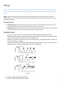 Rapid Eye Movement (REM) Sleep