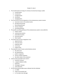 EEG and Sleep Stages