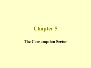 The Consumption Sector - Holy Family University