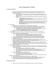 Gene Regulation 15 outline - AP-Science-Experience-JMHS