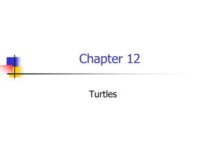 Turtles: Chapter 12