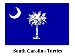 The Turtles of South Carolina