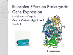 Luis Espinoza-Delgado, Ibuprofen Effect on Prokaryotic Gene