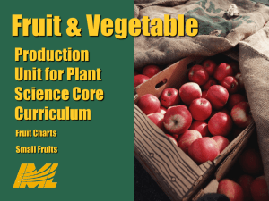 Small Scale Fruit Production - Missouri Center for Career Education