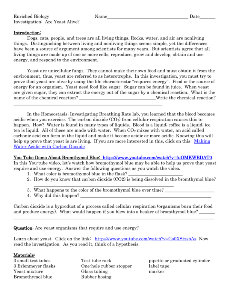 Are Yeast Alive Lab Handout