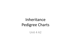 Pedigree Chart Qu