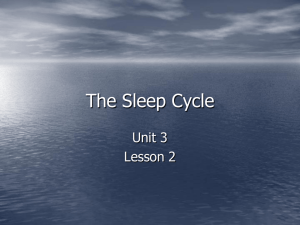 The Sleep Cycle