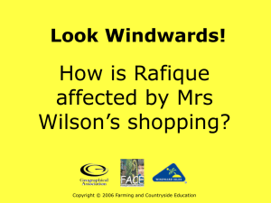 How is Rafique affected by Mrs Wilson's shopping trips?
