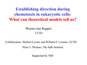 Collective motion in microorganism colonies: experiments and models