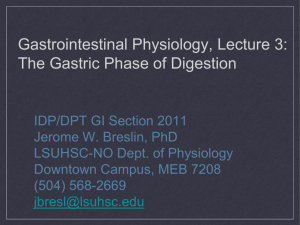 Gastrointestinal Physiology, Lecture 3: The Gastric Phase of Digestion